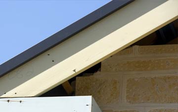 Hood Green fascia repairs