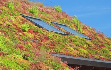 Hood Green living roof systems