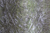 Hood Green fibreglass roof work